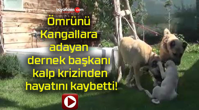 Ömrünü Kangallara adayan dernek başkanı kalp krizinden hayatını kaybetti!