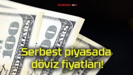 Serbest piyasada döviz fiyatları!