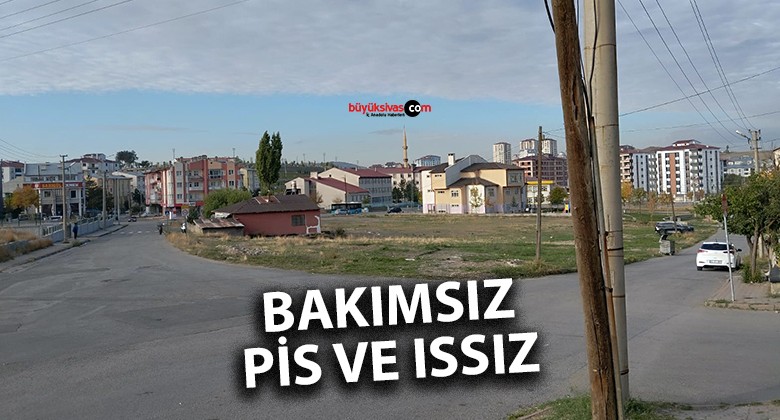 Tuzlugöl Mahallesi Yavuz Bülent Bakiler Caddesi’nde Bakımsızlık Sorunu