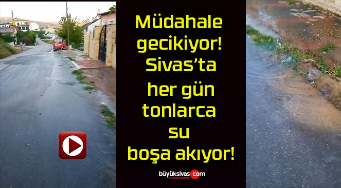 Müdahale gecikiyor! Sivas’ta her gün tonlarca su boşa akıyor!