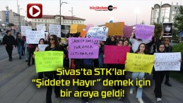 Sivas’ta STK’lar “Şiddete Hayır” demek için bir araya geldi!