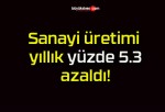 Sanayi üretimi yıllık yüzde 5.3 azaldı!