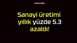 Sanayi üretimi yıllık yüzde 5.3 azaldı!