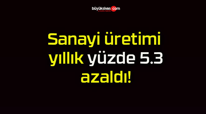 Sanayi üretimi yıllık yüzde 5.3 azaldı!