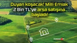 Duyan koşacak! Milli Emlak 2 Bin TL’ye arsa satışına başladı!