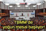 TBMM’de yoğun mesai başlıyor!