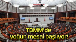 TBMM’de yoğun mesai başlıyor!