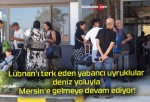 Lübnan’ı terk eden yabancı uyruklular deniz yoluyla Mersin’e gelmeye devam ediyor!