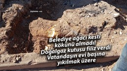 Sivas’ta Belediye Ağacı Kesti, Kökü Hala Zarar Veriyor