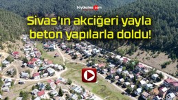 Sivas’ın akciğeri yayla beton yapılarla doldu!