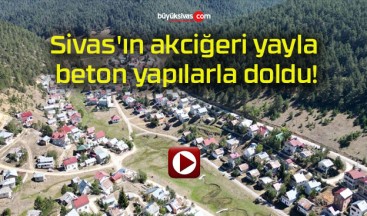 Sivas’ın akciğeri yayla beton yapılarla doldu!