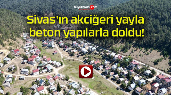 Sivas’ın akciğeri yayla beton yapılarla doldu!