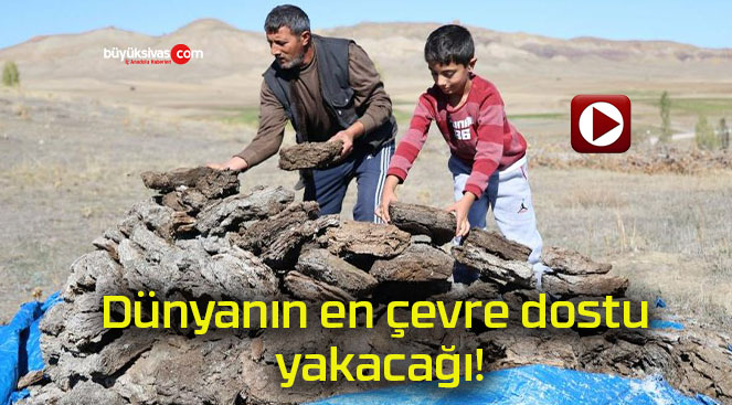 Dünyanın en çevre dostu yakacağı!