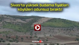 Sivas’ta yüksek budama fiyatları köylüleri odunsuz bıraktı!