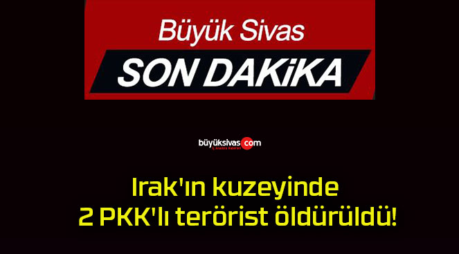 Irak’ın kuzeyinde 2 PKK’lı terörist öldürüldü!