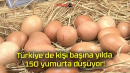 Türkiye’de kişi başına yılda 150 yumurta düşüyor!