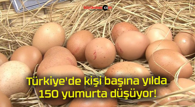 Türkiye’de kişi başına yılda 150 yumurta düşüyor!