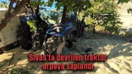 Sivas’ta arpa yüklü traktör devrildi, traktör arpaya gömüldü