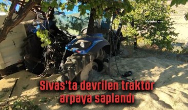 Sivas’ta arpa yüklü traktör devrildi, traktör arpaya gömüldü