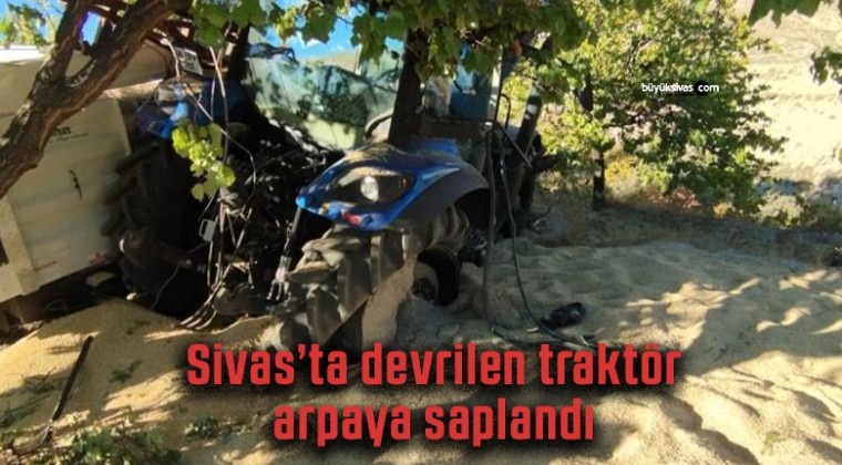 Sivas’ta arpa yüklü traktör devrildi, traktör arpaya gömüldü