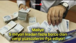 Maliye 5 milyon liradan fazla borcu olan vergi yüzsüzlerini ifşa ediyor!