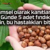 Bilimsel olarak kanıtlandı: Günde 5 adet fındık yiyin, bu hastalıkları bitirin