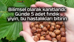 Bilimsel olarak kanıtlandı: Günde 5 adet fındık yiyin, bu hastalıkları bitirin