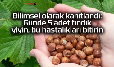 Bilimsel olarak kanıtlandı: Günde 5 adet fındık yiyin, bu hastalıkları bitirin