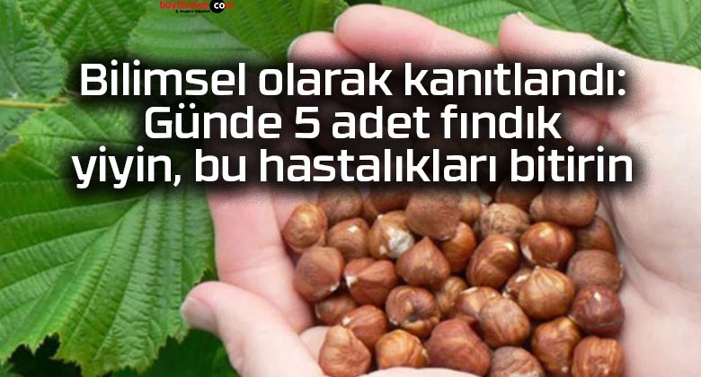 Bilimsel olarak kanıtlandı: Günde 5 adet fındık yiyin, bu hastalıkları bitirin