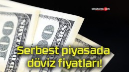 Serbest piyasada döviz fiyatları!