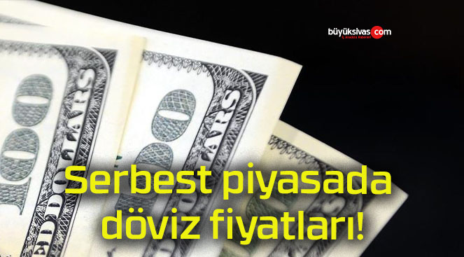 Serbest piyasada döviz fiyatları!