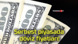 Serbest piyasada döviz fiyatları!