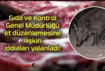 Gıda ve Kontrol Genel Müdürlüğü et düzenlemesine ilişkin iddiaları yalanladı!