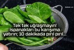 Tek tek uğraşmayın! Ispanakları bu karışıma yatırın; 10 dakikada pırıl pırıl…