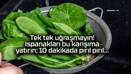 Tek tek uğraşmayın! Ispanakları bu karışıma yatırın; 10 dakikada pırıl pırıl…