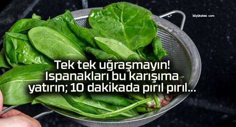 Tek tek uğraşmayın! Ispanakları bu karışıma yatırın; 10 dakikada pırıl pırıl…