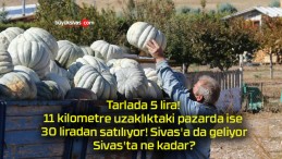 Tarlada 5 lira! 11 kilometre uzaklıktaki pazarda ise 30 liradan satılıyor! Sivas’a da geliyor? Sivas’ta ne kadar?