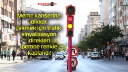 Meme kanserine dikkat çekmek için trafik sinyalizasyon direkleri pembe renkle kaplandı!