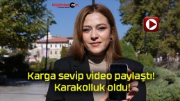 Karga sevip video paylaştı! Karakolluk oldu!