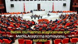 Bebek ölümlerinin araştırılması için Meclis Araştırma Komisyonu kuruldu!