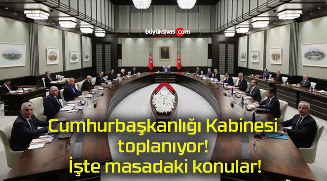 Cumhurbaşkanlığı Kabinesi toplanıyor! İşte masadaki konular!