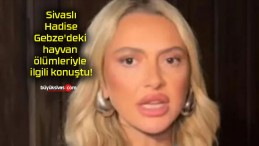 Sivaslı Hadise Gebze’deki hayvan ölümleriyle ilgili konuştu!