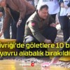 Divriği’de göletlere 10 bin yavru alabalık bırakıldı!