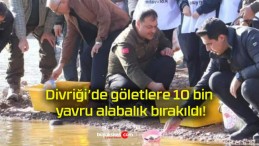 Divriği’de göletlere 10 bin yavru alabalık bırakıldı!