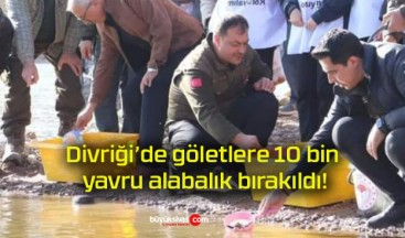 Divriği’de göletlere 10 bin yavru alabalık bırakıldı!