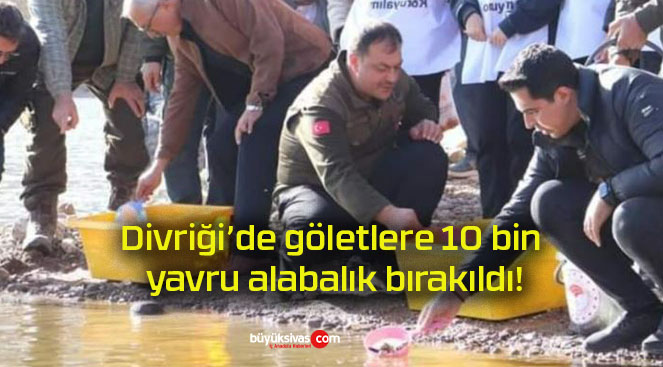 Divriği’de göletlere 10 bin yavru alabalık bırakıldı!