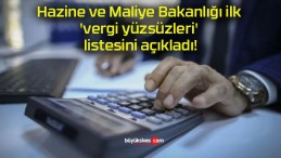 Hazine ve Maliye Bakanlığı ilk ‘vergi yüzsüzleri’ listesini açıkladı!