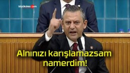 Alnınızı karışlamazsam namerdim!