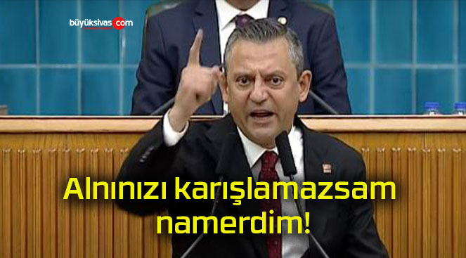 Alnınızı karışlamazsam namerdim!