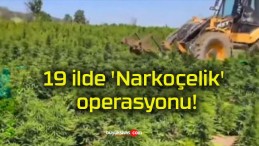 19 ilde ‘Narkoçelik’ operasyonu!